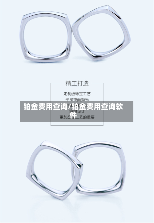 铂金费用查询/铂金费用查询软件