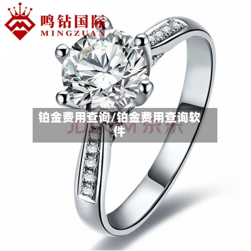 铂金费用查询/铂金费用查询软件-第2张图片