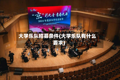 大学乐队招募条件(大学乐队有什么要求)-第3张图片