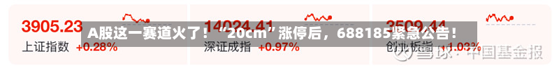 A股这一赛道火了！“20cm	”涨停后，688185紧急公告！-第1张图片