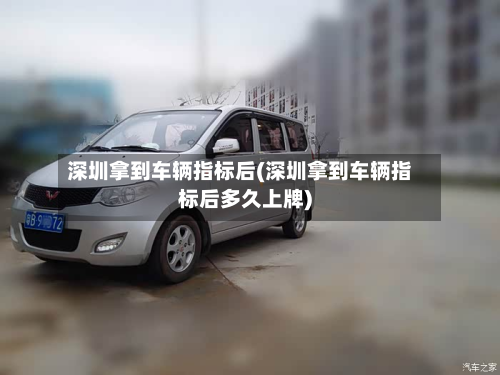深圳拿到车辆指标后(深圳拿到车辆指标后多久上牌)-第2张图片