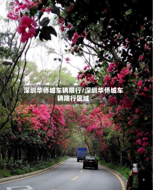 深圳华侨城车辆限行/深圳华侨城车辆限行区域