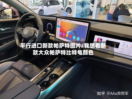 平行进口新款帕萨特图片/我想看新款大众帕萨特比特龟颜色-第2张图片
