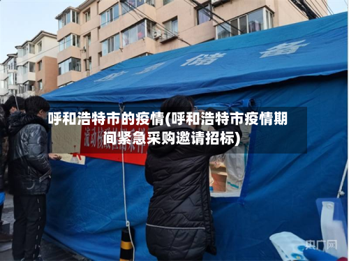 呼和浩特市的疫情(呼和浩特市疫情期间紧急采购邀请招标)-第3张图片
