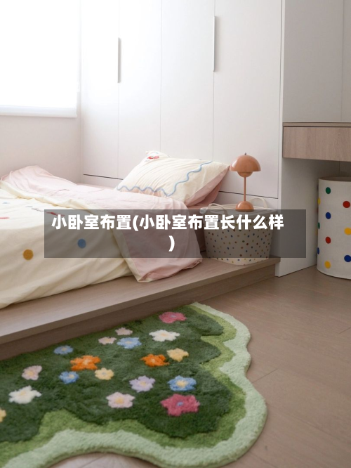 小卧室布置(小卧室布置长什么样)-第3张图片