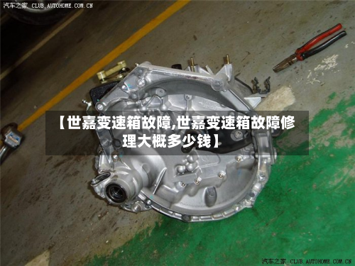 【世嘉变速箱故障,世嘉变速箱故障修理大概多少钱】