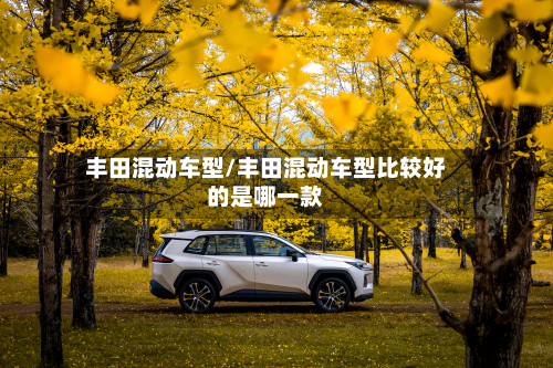 丰田混动车型/丰田混动车型比较好的是哪一款-第3张图片