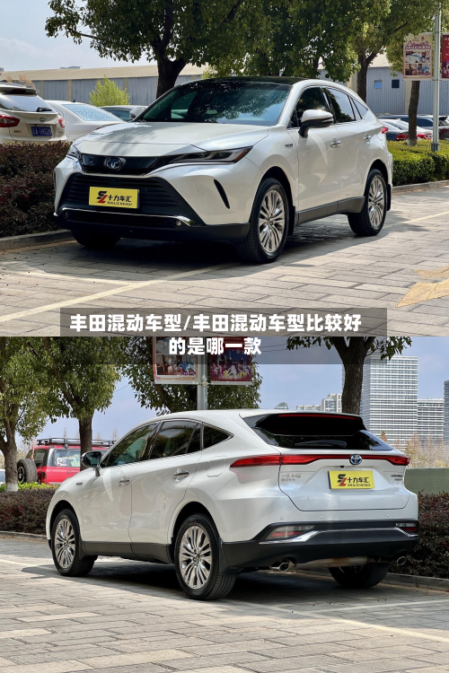 丰田混动车型/丰田混动车型比较好的是哪一款