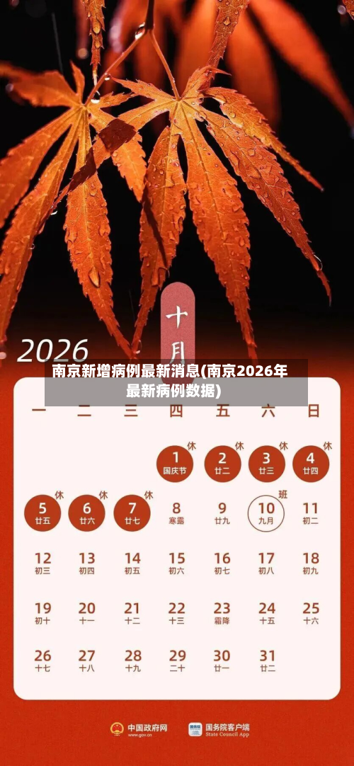 南京新增病例最新消息(南京2026年最新病例数据)-第3张图片