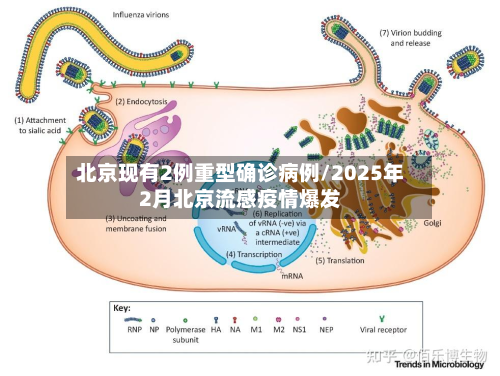 北京现有2例重型确诊病例/2025年2月北京流感疫情爆发