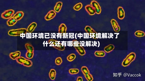 中国环境已没有新冠(中国环境解决了什么还有哪些没解决)