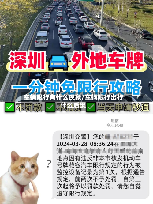 车辆限行有什么现象/车辆限行出行什么后果