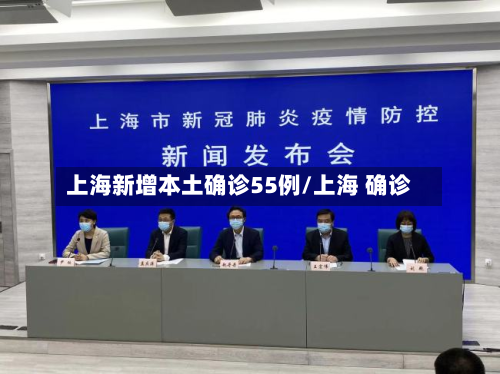 上海新增本土确诊55例/上海 确诊-第2张图片