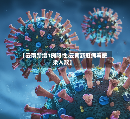 【云南新增1例阳性,云南新冠病毒感染人数】