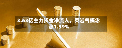 3.63亿主力资金净流入，页岩气概念涨1.39%
