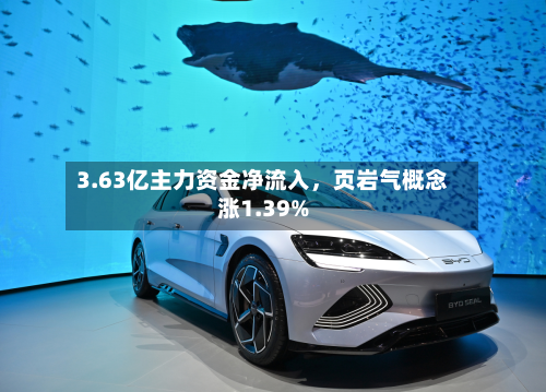 3.63亿主力资金净流入，页岩气概念涨1.39%-第2张图片