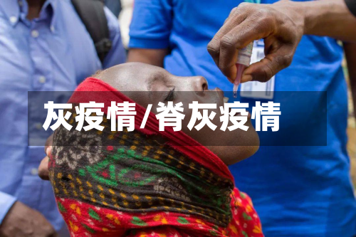 灰疫情/脊灰疫情-第2张图片