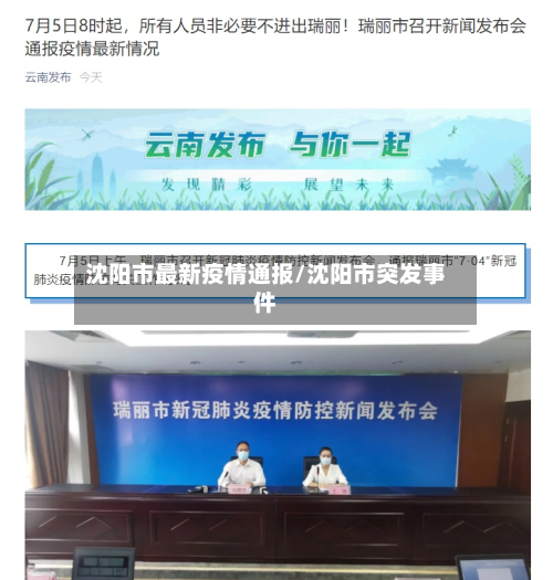 沈阳市最新疫情通报/沈阳市突发事件-第3张图片