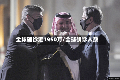 全球确诊近1950万/全球确诊人数-第3张图片