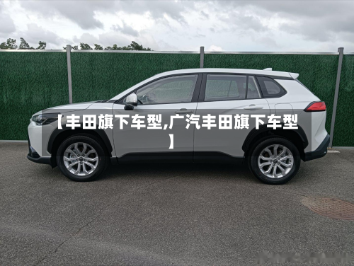 【丰田旗下车型,广汽丰田旗下车型】-第2张图片