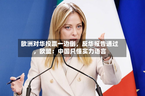 欧洲对华投票一边倒	，反华报告通过，欧盟：中国只懂实力语言-第3张图片