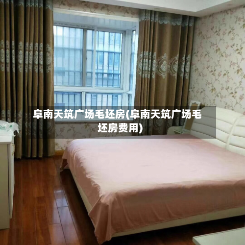 阜南天筑广场毛坯房(阜南天筑广场毛坯房费用)-第2张图片