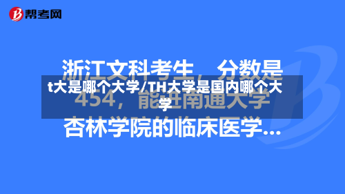 t大是哪个大学/TH大学是国内哪个大学-第3张图片