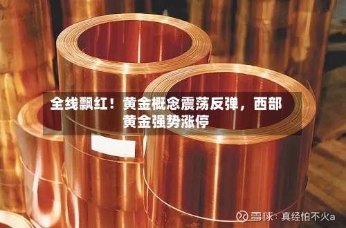 全线飘红！黄金概念震荡反弹，西部黄金强势涨停-第2张图片