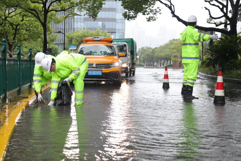 【图集】台风“白海豚”今晨致上海39处道路积水	，正开展抢排清理
