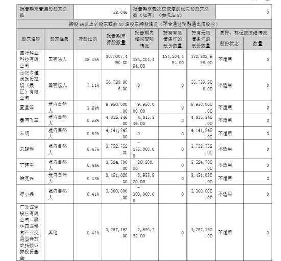 半年报亏损扩大，牛散逆势买入国投丰乐