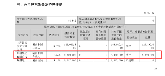 嘉麟杰半年报更正股东数据 东旭集团持股数据少披露逾六成
