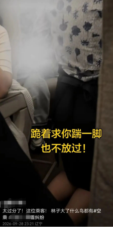 “要让肇事者付出代价！”东航就“空姐下跪事件”报案，六成网友支持“应加大惩戒辱骂者	”